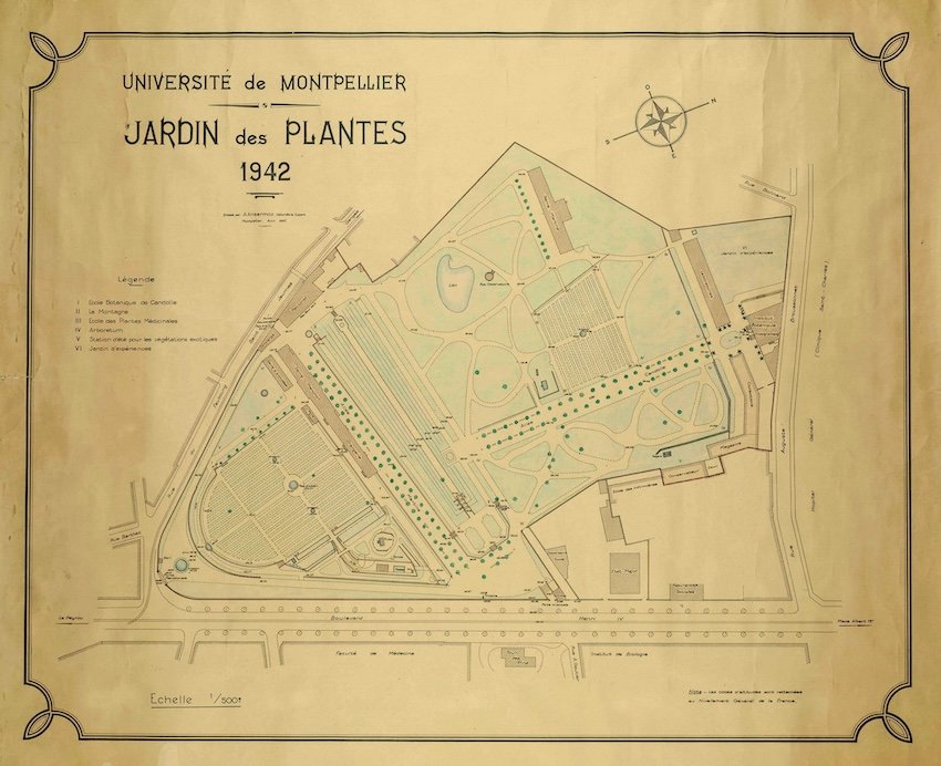 Le Jardin des Plantes de Montpellier 10 118472239 1255359028133684 7831101346008549046 n