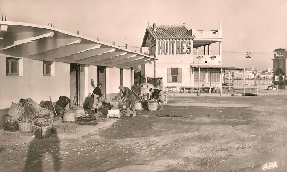 Photo représentant un établissement de traitement des huitres à Bouzigues