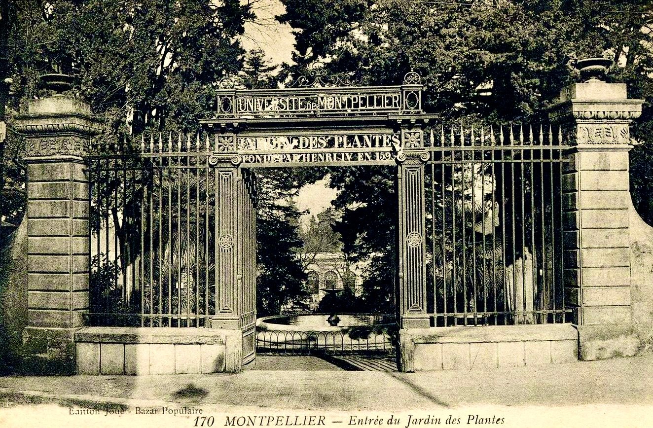 599597447 122240888186139351 5073225706713287624 n 2