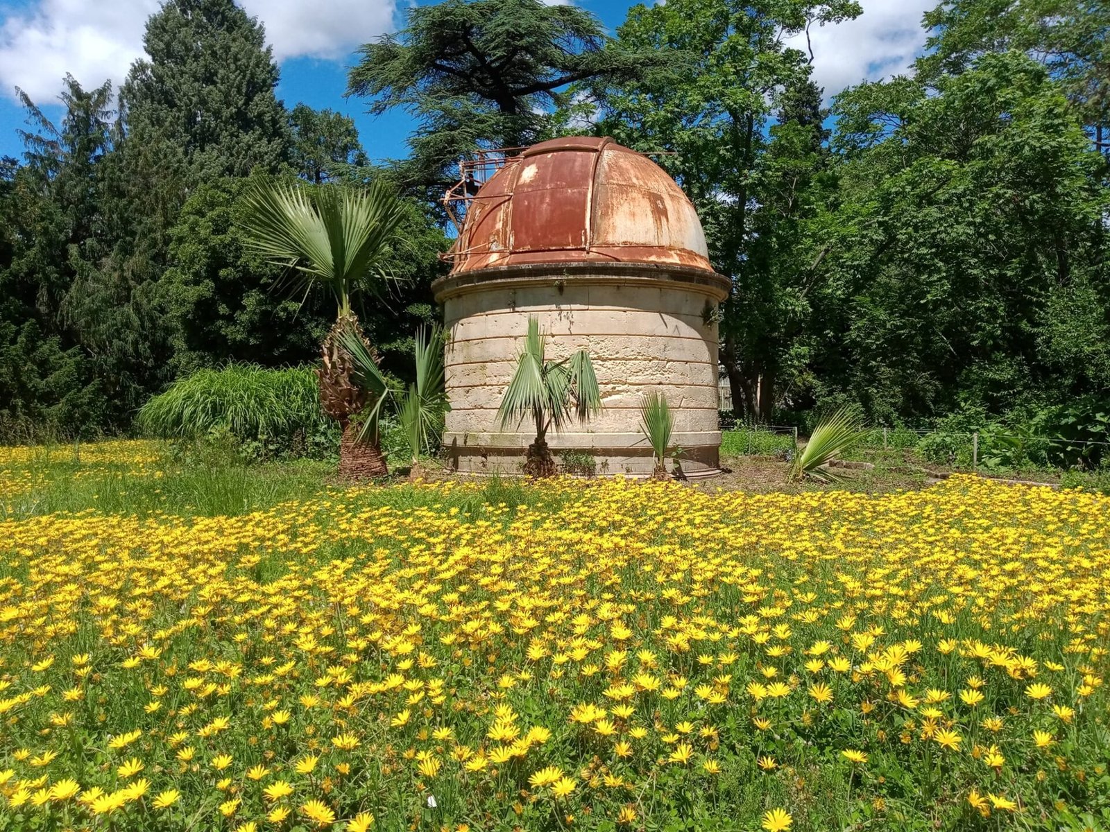 Le Jardin des Plantes de Montpellier 9 Observatoire astronomique du Jardin des Plantes au milieu de son parterre floral