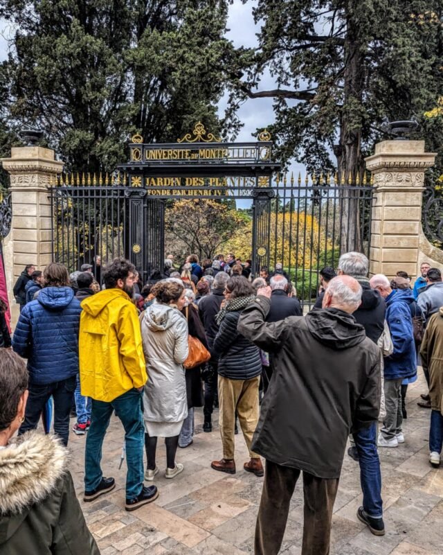 Jardin des Plantes de Montpellier - Réouverture du Portail Sud